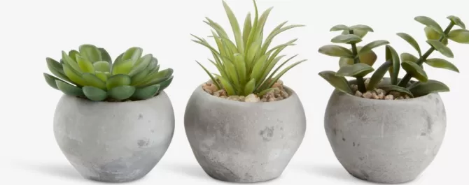 Cheap Kunstig plante Ø7xH9cm assorteret Kunstige Planter