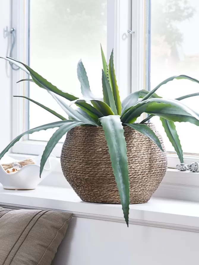 Cheap Kunstig plante H65cm Kunstige Planter