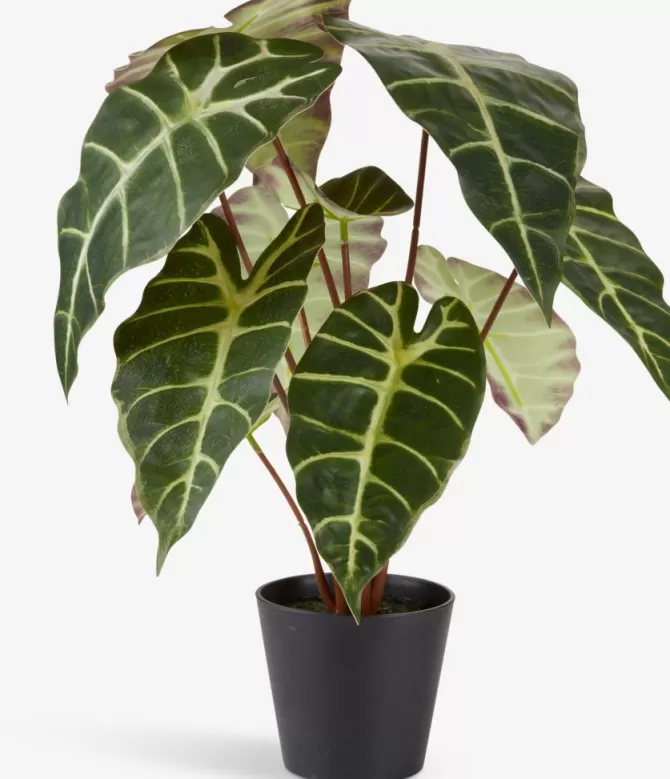 Clearance Kunstig plante Ø38xH42cm Kunstige Planter